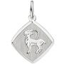 Anh�nger Sternzeichen Steinbock 925 Sterling Silber teilmattiert 