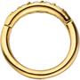 Segmentring Edelstahl gold farben beschichtet mit Kristallsteinen