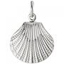 Anh�nger Muschel 925 Sterling Silber Silberanh�nger 