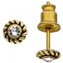 Ohrstecker Edelstahl goldfarben mit SWAROVSKI� ELEMENTS 