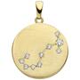 Anh�nger Sternzeichen Skorpion 333 Gold Gelbgold matt 10 Zirkonia 
