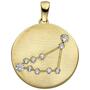 Anh�nger Sternzeichen Steinbock 333 Gold Gelbgold matt 10 Zirkonia 