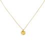 Collier mit Anh�nger 750 Gold Gelbgold matt 45 cm