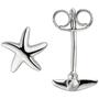 Ohrstecker Seestern 925 Sterling Silber 