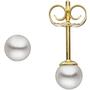 Ohrstecker 585 Gold Gelbgold 2 S��wasser Perlen 4,5 mm 