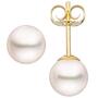 Ohrstecker 585 Gold Gelbgold 2 Akoya Perlen 6,5 mm 