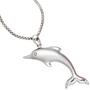 Anh�nger Delfin 925 Sterling Silber rhodiniert teilmattiert