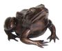 Casa Padrino Luxus Deko Bronze Frosch 24 x 30 x H. 16 cm - Luxus Bronzefigur  