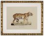 Casa Padrino Deko Bilder Set L�wen Tiger Jaguare Antik Gold 54 x H. 44 cm - Luxus Wanddekoration