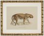 Casa Padrino Deko Bilder Set L�wen Tiger Jaguare Antik Gold 54 x H. 44 cm - Luxus Wanddekoration