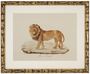 Casa Padrino Deko Bilder Set L�wen Tiger Jaguare Antik Gold 54 x H. 44 cm - Luxus Wanddekoration
