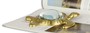 Casa Padrino Luxus Lupe Schildkr�te Gold 15,5 x 14,9 cm - Luxus Accessoires 