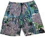 Globe Skateboard Herren Badeshort Split Purple/Blue/Green