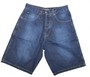 Iriedaily Skateboard Herren Shorts Blue