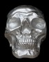 Casa Padrino Designer Skull Mod1L silber H�he 16,5 cm, Breite 14 cm, Tiefe 18 cm, Totenkopf - edle Skulptur aus Aluminium vernickelt