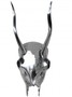 Casa Padrino Designer Geweih Deko Hirsch aus poliertem Aluminium Silber H 45 cm, B 18 cm - Wandfigur - Geweih - Wandgeweih