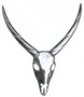 Casa Padrino Designer Antilope Deko Geweih aus poliertem Aluminium Silber H 75 cm, B 67 cm - Wandfigur - Geweih - Wandgeweih