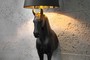 Casa Padrino Luxus Stehleuchte Pferd Schwarz H�he 130 cm, Leuchte - Luxury Collection Pferde Leuchte - Horse Lamp