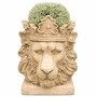 Casa Padrino Barock Blumentopf L�wenkopf mit Krone Beige H. 41 cm - Barockstil Pflanzentopf 
