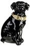 Casa Padrino Dekofigur Hund mit Halsband Schwarz gl�nzend / Gold 16 x 15 x H. 26 cm - Deko Accessoires 