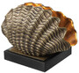Casa Padrino Luxus Tischleuchte in Muschelform Vintage Messing / Schwarz 33 x 21 x H. 22 cm - Tischlampe mit Granitsockel