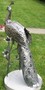 Casa Padrino Gartendeko Skulptur Pfau Silber 50 x 75 x H. 118 cm - Elegante Edelstahl Gartendeko Figur - Wetterbest�ndige Gartenfigur