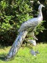 Casa Padrino Gartendeko Skulptur Pfau Silber 50 x 75 x H. 118 cm - Elegante Edelstahl Gartendeko Figur - Wetterbest�ndige Gartenfigur
