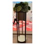 Casa Padrino Luxus Blumenst�nder Schwarz / Messing  50 x H. 145 cm - Blumenst�nder mit Ulmenfurnier - Moderne Wohnzimmer M�bel - Luxus Qualit�t 