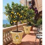 Casa Padrino Luxus Blumentopf Gelb / Wei� / Bunt  80 x H. 63 cm - Runder Keramik Pflanzentopf - Hotel & Garten Deko