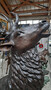 Casa Padrino Luxus Bronze Deko Skulptur Hirsch H. 248 cm - Riesiege Bronze Skulptur - Lebensgro�e Tierfigur - XXL Bronze Hirsch Figur - XXL Garten Skulptur - Luxus Garten Deko