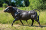 Casa Padrino Luxus Bronze Deko Skulptur Stier 295 x 86 x H. 160 cm - Riesiege Bronze Skulptur - Lebensgro�e Tierfigur - XXL Bronze Stier Figur - XXL Garten Skulptur - Luxus Garten Deko