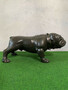 Casa Padrino Luxus Bronze Deko Skulptur Hund Bulldogge 81 x 43 x H. 38 cm - Bronze Dekofigur - Luxus Deko Accessoires