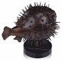 Casa Padrino Luxus Bronze Figur Kugelfisch 36 cm - Deko Skulptur mit Marmorsockel