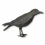 Casa Padrino Luxus Bronze Skulptur Vogel Rabe Schwarz 55,5 cm - Deko Figur 