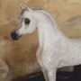 Casa Padrino Luxus Deko Porzellan Skulptur Araberpferd 46 cm - Handgefertigt