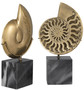 Casa Padrino Luxus Deko Objekte Set Vintage Messing / Schwarz 16,5 x 9 x H. 29 cm - B�ro Deko - Schreibtisch Deko - Wohnzimmer Deko - Luxus Kollektion