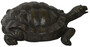 Casa Padrino Luxus Deko Skulptur Schildkr�te Bronze 47 x 40 x H. 16 cm - Bronze Deko Skulptur - Bronze Deko Figur - Schreibtisch Deko - Wohnzimmer Deko - Luxus Qualit�t