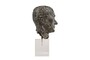 Casa Padrino Luxus Deko Skulptur Bronzefigur Bronze / Braun 15 x 23 x H. 45 cm - Massive Bronzeskulptur auf Plexiglas Sockel - Luxus Deko Accessoires