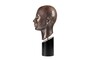 Casa Padrino Luxus Deko Skulptur Muschelform Bronze / Schwarz 15,5 x 20 x H. 41 cm - Geschwungene Skulptur in Bronze-Optik auf schwarzem Sockel - Luxus Deko Accessoires