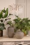 Casa Padrino Luxus Kronleuchter Gold  45 x H. 40 cm - Kristall L�ster im Wasserfall Design