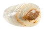 Casa Padrino Luxus Schale 33 x 24 x H. 12 cm - Hauchd�nn geschliffene Schale aus hochwertigem Onyx - Luxus Deko Accessoires