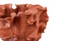 Casa Padrino Luxus Schale Naturfarben 40 x 40 x H. 30 cm - Gro�e organisch geformte Schale Reef aus Terrakotta - Luxus Deko Accessoires