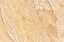 Casa Padrino Luxus Tablett Mehrfarbig 30 x 20 x H. 4 cm - Rechteckiges Tablett Petal aus hochwertigem Sandstein - Luxus Deko Accessoires
