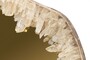 Casa Padrino Luxus Wandspiegel Gold 72 x 5 x H. 85 cm - Wandspiegel mit Rahmen aus nat�rlichem Quarz und goldfarben get�ntem Spiegelglas - Luxus Deko Accessoires