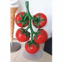 Casa Padrino XXL Deko Tomaten am Stengel mit St�nder Rot / Gr�n / Grau H. 100 cm
