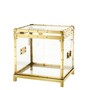 Eichholtz Flightcase Exposed Gold - Beistelltisch aus Acryl mit Messingrahmen und St�nder