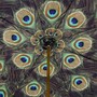 Pfau Regenschirm, Doppelgewebe f�r Damen - Handmade in Italy