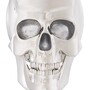 Philipp Plein Luxus Designer Deko Totenkopf Platinfarben / Wei� H. 20cm - Skull Skulptur aus Marmorsockel