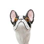 Spazierstock mit Franz�sische Bulldogge - Stock aus Buchenholz, Messingzwinge mit Gummiende, Griff aus Emailliertem Messing - Handmade in Italy