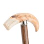 Spazierstock mit Warzenschweinzahn - Handmade in Italy